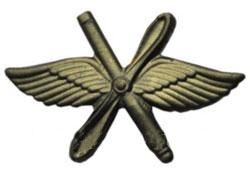 Эмблема Авиация ВВС пушка (защитная) нового образца