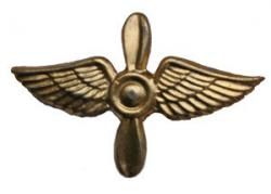 Эмблема ВВС крылья (золотая) нового образца